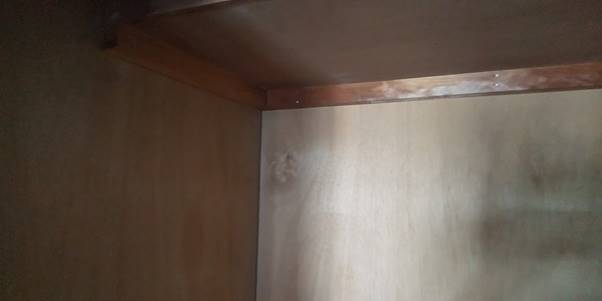 押し入れの角にカビがないか確認