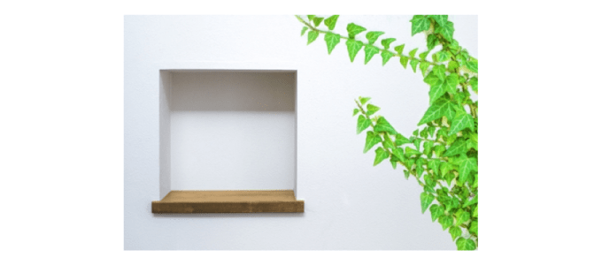 ニッチについて