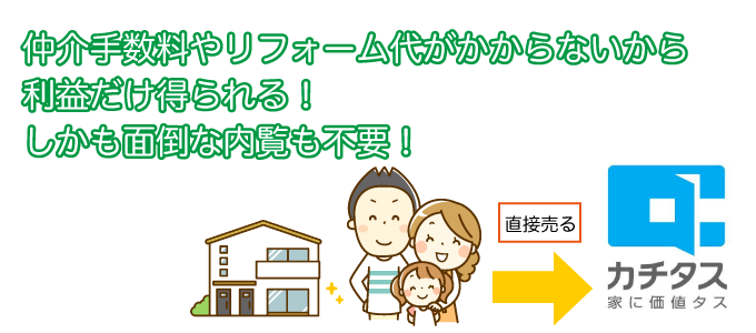 カチタスの特徴