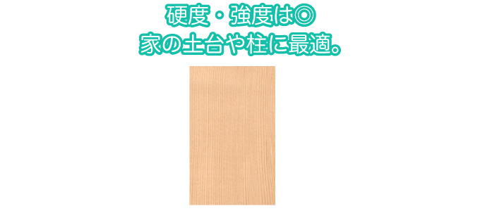 硬度・強度は◎家の土台や柱に最適。