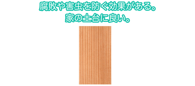 腐敗や害虫を防ぐ効果がある。家の土台に良い。