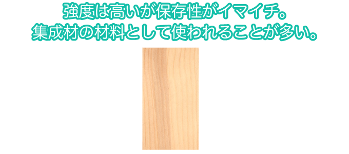 強度は高いが保存性がイマイチ。集成材の材料として使われることが多い。