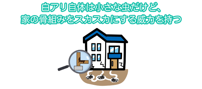 白アリ自体は小さな虫だけど、家の骨組みをスカスカにする威力を持つ