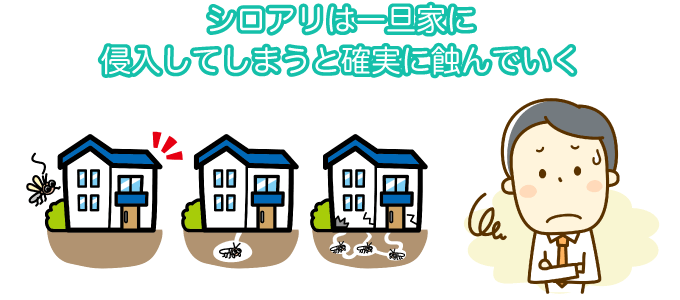 シロアリは一旦家に侵入してしまうと確実に蝕んでいく