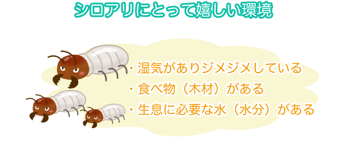 シロアリにとって嬉しい環境